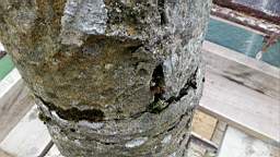 stcronans 1155.jpg